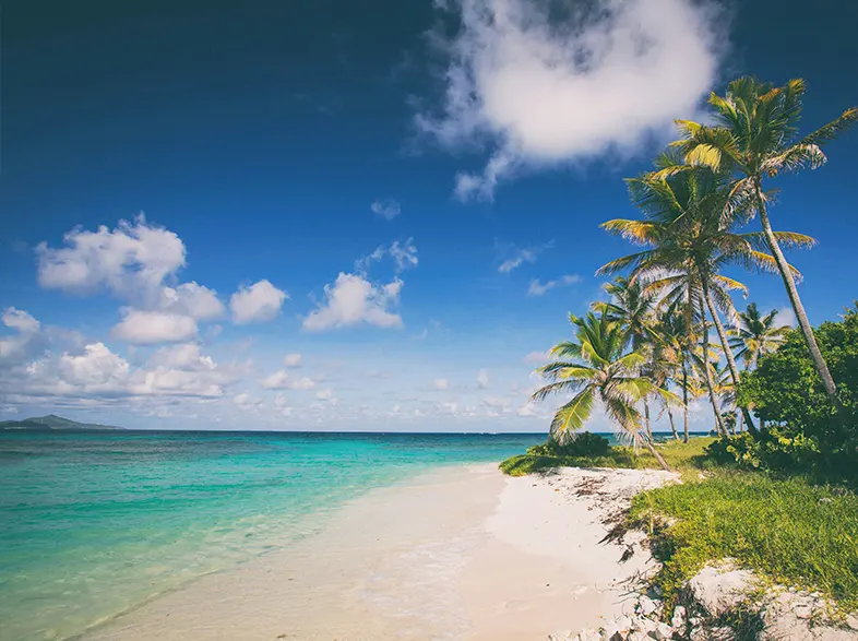Caribe